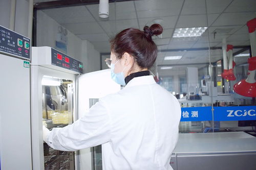 鄭州食品檢測(cè) 專業(yè)機(jī)構(gòu)、服務(wù)體系與公眾守護(hù)