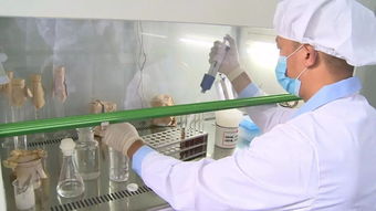 通城縣質檢中心 精準檢測，為企護航，把好產品質量與室內環境安全關